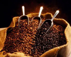 Cajamarca Fair Trade Shade Grown Organic Coffee Beans